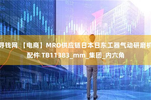 寻钱网 【电商】MRO供应链日本日东工器气动研磨机配件 TB11383_mm_集团_内六角