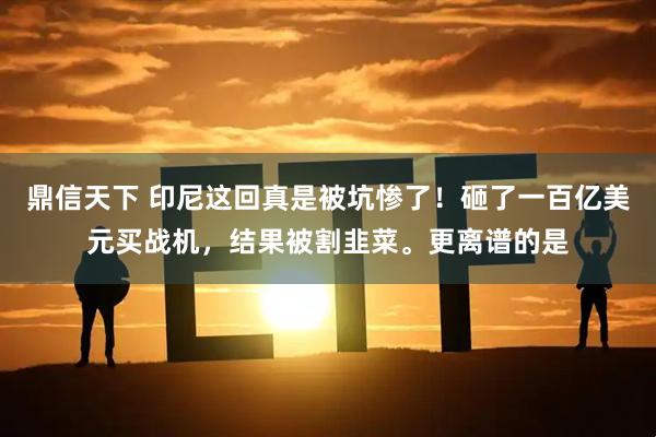 鼎信天下 印尼这回真是被坑惨了！砸了一百亿美元买战机，结果被割韭菜。更离谱的是